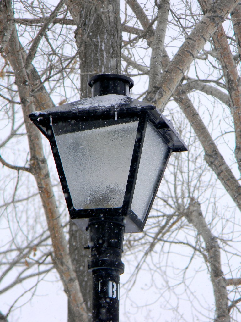Lamp Post To Narnia 