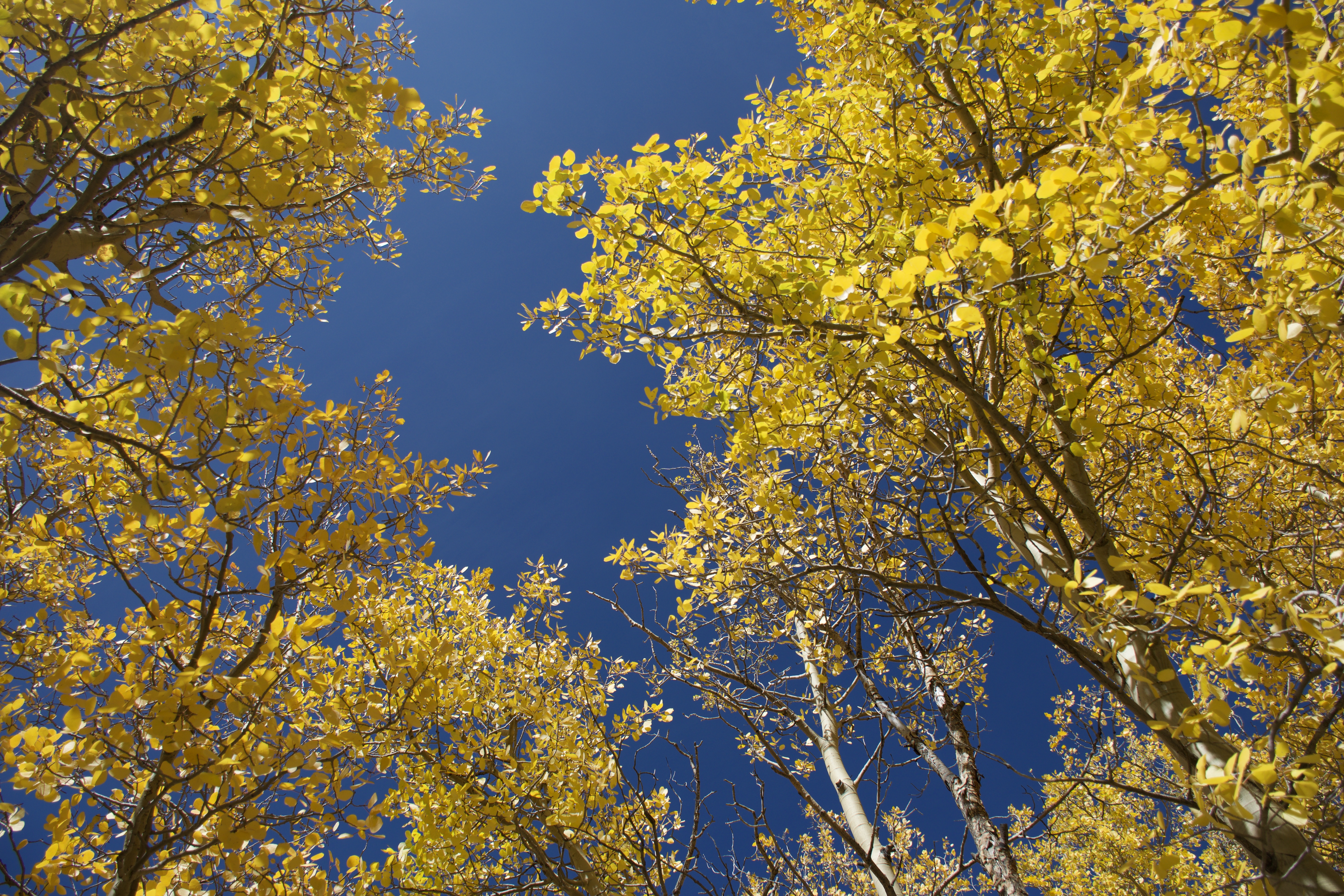 D74D825F-9868-4510-807C-1506D1960CE2_1_100_o