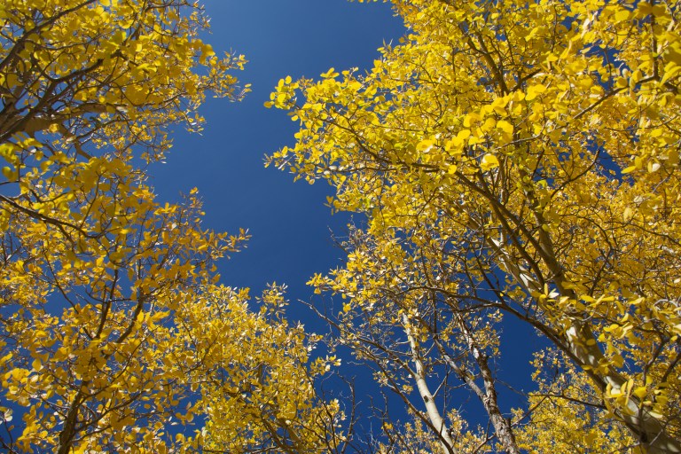 D74D825F-9868-4510-807C-1506D1960CE2_1_100_o