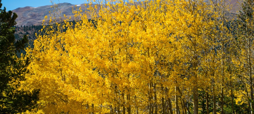 Stress, Sleep, and Surrender: September&nbsp;2019