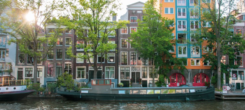 Where’s The Wonder