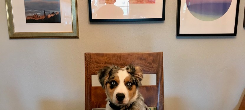 Control During the Chaos: Wholehearted&nbsp;Living